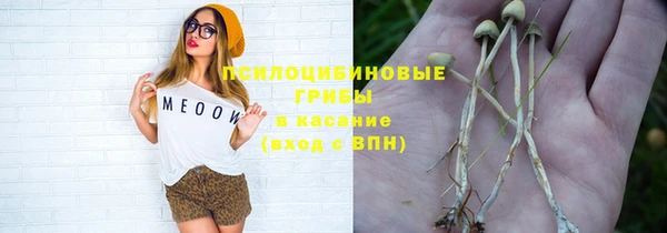 стаф Балабаново