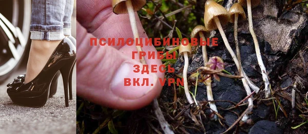 стаф Балабаново
