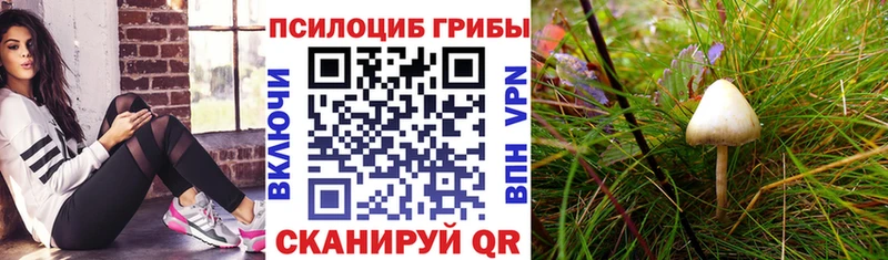 гидра как войти  даркнет сайт  Рудня  Галлюциногенные грибы GOLDEN TEACHER 
